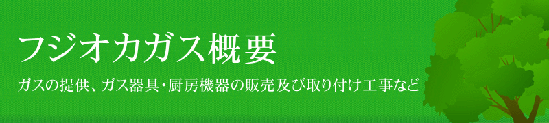 フジオカガス概要